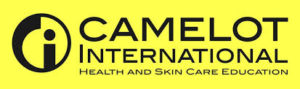 Camelot International Website